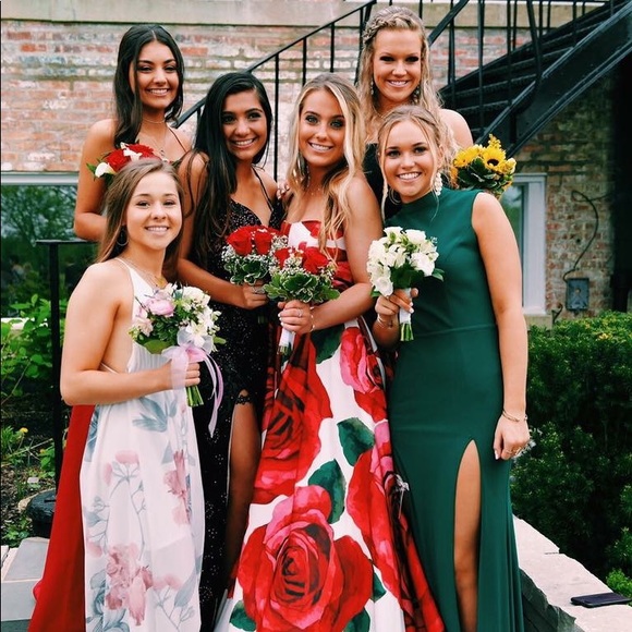 Sherri hill rose dress - Picture 5 of 6